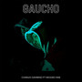 GAUCHO (Explicit)