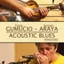 Acoustic Blues (Remastered)