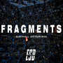 FRAGMENTS RIDDIM