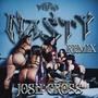 NASTY (feat. Josh Cross & Janka) [REMIX] [Explicit]