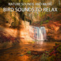 Bird Sounds to Relax