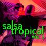 Salsa Tropical Vol.2