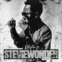 STEVIE WONDER (Explicit)