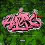 Haters (feat. AcrosWanteD & Tagtro) [Explicit]