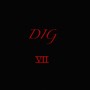 Dig VII