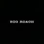 BIG ROACH (Explicit)