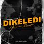 DIKELEDI SOLOMON MATHASE AMAPIANO REVISIT (Explicit)