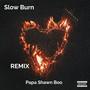 Slow Burn (Remix) [Explicit]