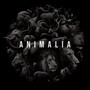 ANIMALIA