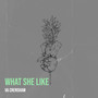 What She Like (Explicit)