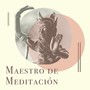 Maestro de Meditación: Sonidos de Meditación Espiritual, Energía Positiva