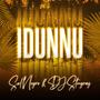 Idunnu (feat. DJ Stingray)
