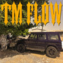 Tm Flow (Explicit)