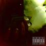 **** Carts (Explicit)