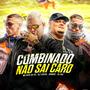 Combinado Não Sai Caro (feat. MC RICK DA VS, DJ LEOZAO & DJ GUII) [Explicit]