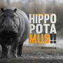 Hippopotamus (Explicit)