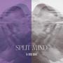 SPLIT MIND (Explicit)