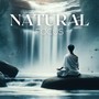 Natural Focus: Zen Meditation Bliss