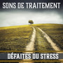 Sons de traitement: Défaites du stress - Des bruits naturels clairs, Temps apaisant, Détendez-vous avec la musique calme, Âme saine