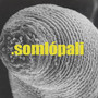 Somlópali (Explicit)