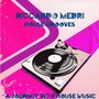 House Grooves (A Journey into House Music)