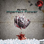 Imperfect Flower (remix)