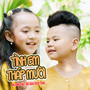 Tình Em Tháp Mười