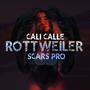 Rottweiler (feat. Scars Pro) [Explicit]