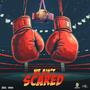 We Aint Scared (Explicit)