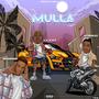 Mulla (feat. Wizbash & Starkid Fia) [Explicit]