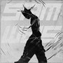 SAM (Explicit)