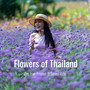 Flowers of Thailand