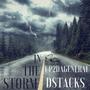 In the storm (feat. Up2DaGeneral) [Explicit]