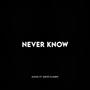 Never Know (feat. David Flumen)