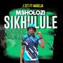 Msholozi sikhulule (feat. Mageja)