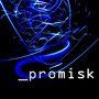 Promisk