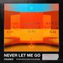 Never Let Me Go