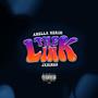 The Link (Explicit)