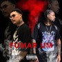 Fumar Um (Live) [Explicit]