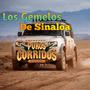 Los Gemelos De Sinaloa MIX 2025 VAL 45