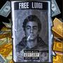 FREE LUIGI (Explicit)