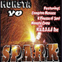 Spark (Explicit)