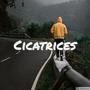 Cicatrices