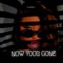 Now Your Gone (feat. Carter Grayson ) [Radio Edit]