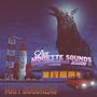 Live Mouette Sounds Session