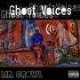 Ghost Voices (Explicit)