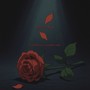 Beautiful Roses