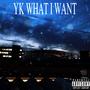 YK WHAT I WANT (Explicit)