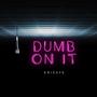 Dumb On It (Explicit)