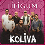 Liligum (Akustik)